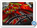 Asics Fuji Sensor