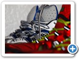 Asics Fuji Sensor