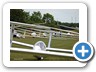 Landau_2012_33