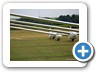 Landau_2012_34